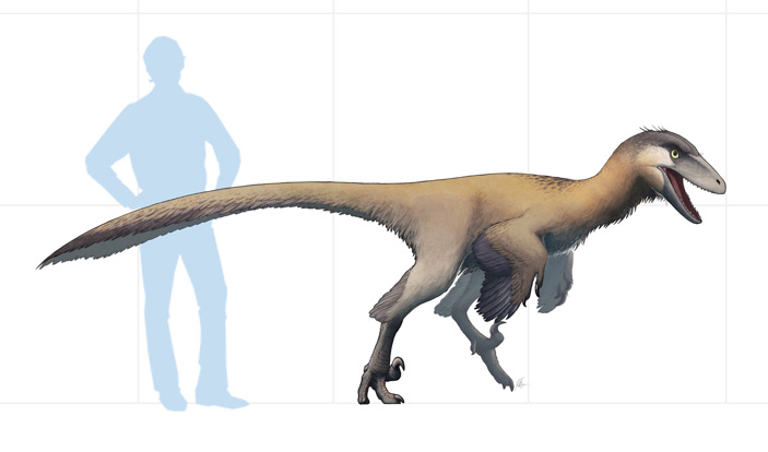 Латенивенатрикс (Latenivenatrix mcmasterae)