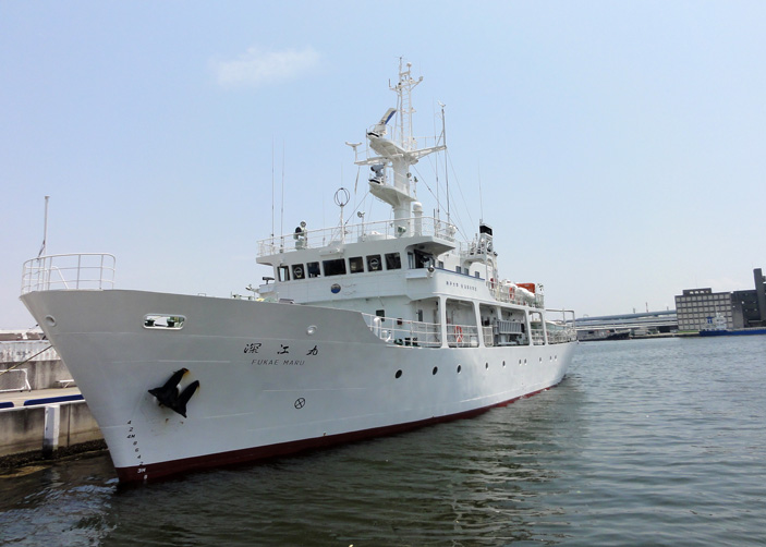 Рис. 3. Учебное судно Fukae Maru