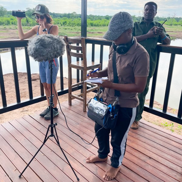 Ученые ведут наблюдения с вышки у водопоя