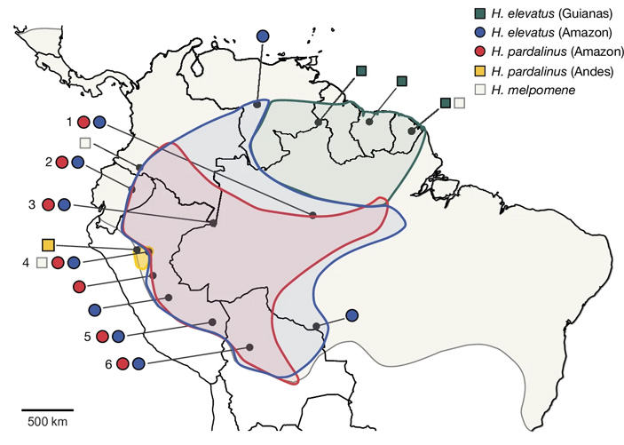Рис. 2. Ареалы трех видов Heliconius