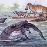 Некоторые виды мозазавров могли быть пресноводными