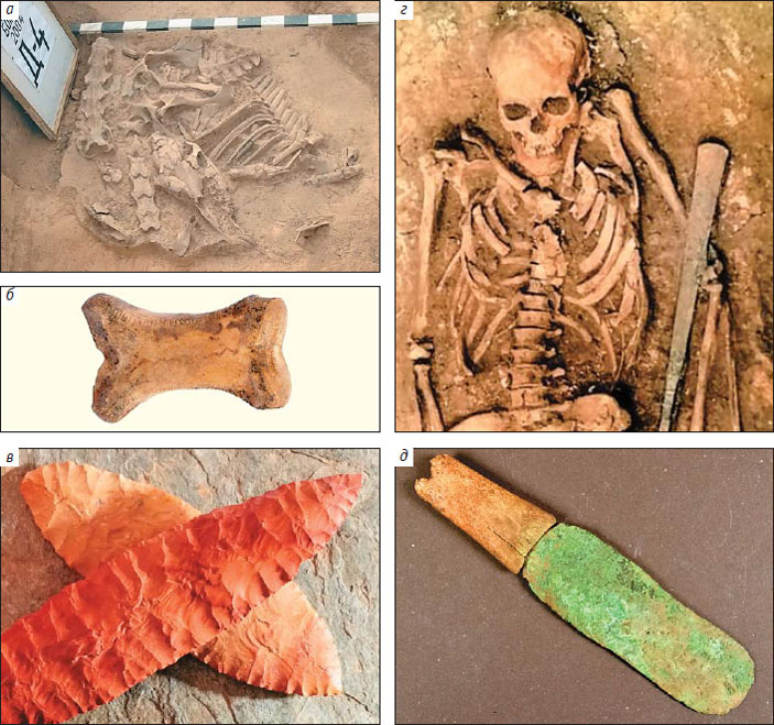 Рис. 1. Артефакты ботайской и ямной культур