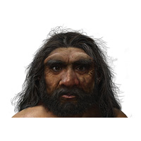 Человек из Харбина