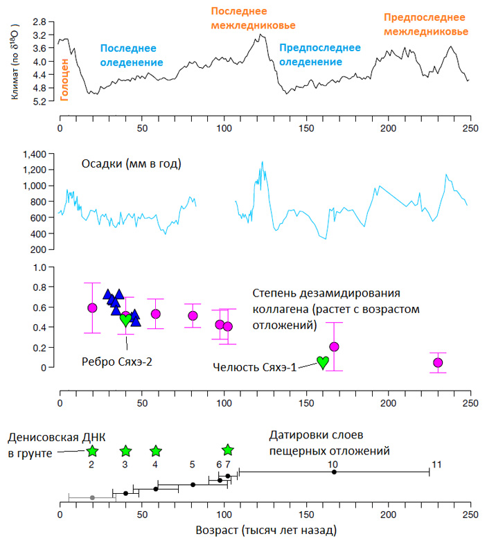 Рис. 3. Хронология климатических изменений и следов присутствия денисовцев в пещере Байшья