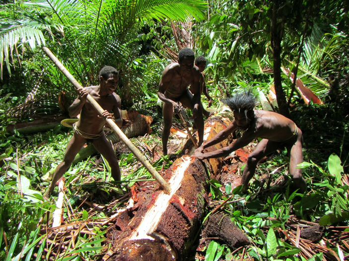 Рис. 1. Не только земледельцы едят много крахмала