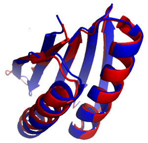 Рис. 3. Абсолютно новый белок Top7