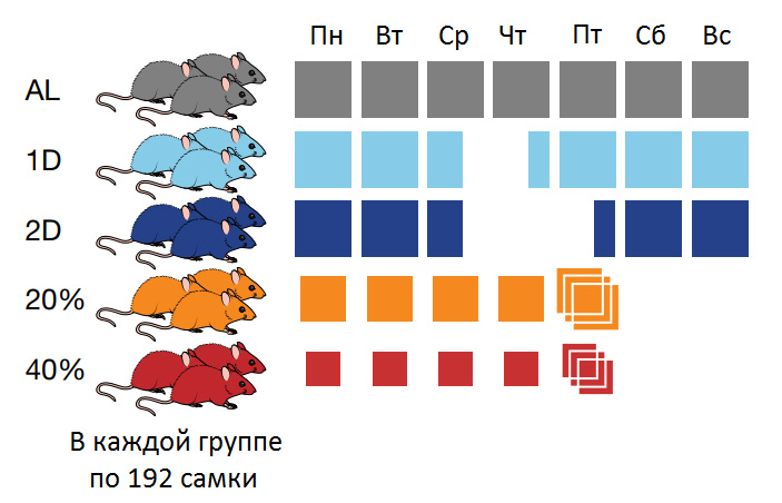 Рис. 1. Схема эксперимента
