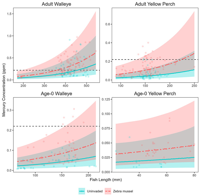 Рис. 4. Модельные оценки концентрации ртути