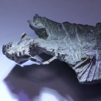 Кости инсулофона