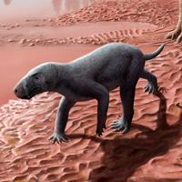 Рис. 1. Древнейший горгонопс, обнаруженный на Майорке