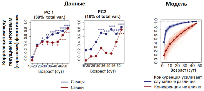Рис. 2. Данные, показывающие, что у самцов поведенческая индивидуальность формируется раньше, чем у самок