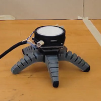 Мягкий шагающий робот, управляемый грибом