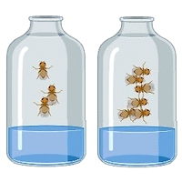 Рис. 1. Графическое резюме исследования