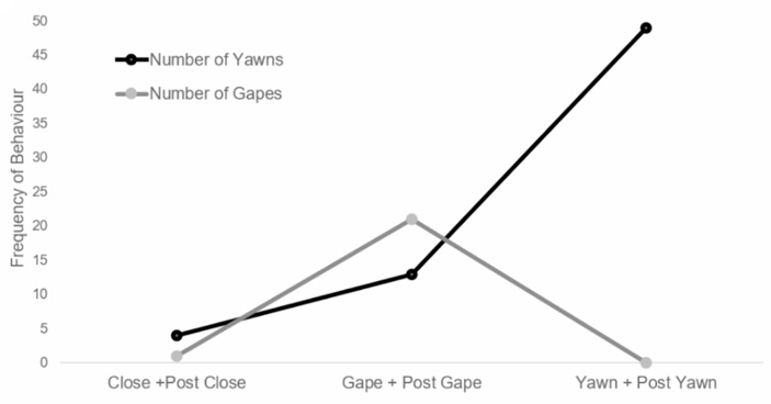Число реакций шимпанзе в ответ на соответствующие экспериментальные действия
