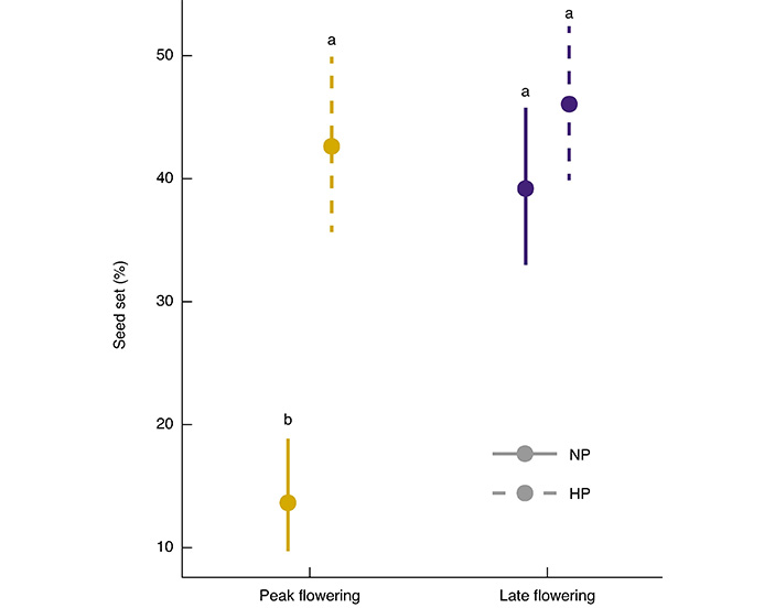 Рис. 3. Процент завязывания семян