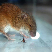 Установка для проведения второй серии экспериментов