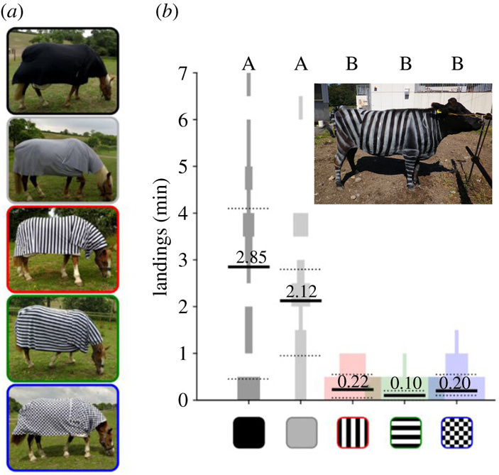 Рис. 5. Гипотеза избегания паразитов