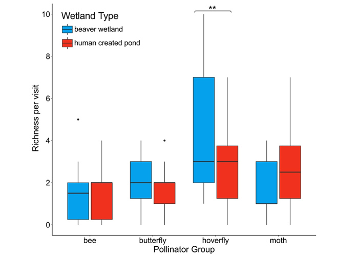 Рис. 3. Видовое богатство разных групп опылителей