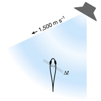 Использование задержки прихода звука между ушами для определения направления к источнику звука