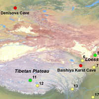 Восточноазиатские археологические местонахождения позднего среднего и позднего плейстоцена