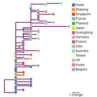 Протокол эпидемии: что может сказать биоинформатика о вспышке nCoV