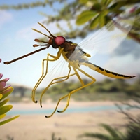 Длиннохоботковая муха мезозоя