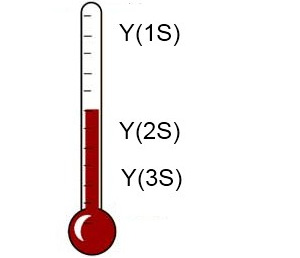 Рис. 1. Мезоны погруженные в горячую кварк-глюонную плазму, плавятся, причем температура плавления зависит от размера мезона. Компактные мезоны из ипсилон-семейства, например Υ(1S), плавятся при гораздо более высокой температуре, чем более крупные возбужденные состояния. Адаптированный рисунок со страницы caaubin.people.wm.edu/Phys771/Handouts/handouts.html