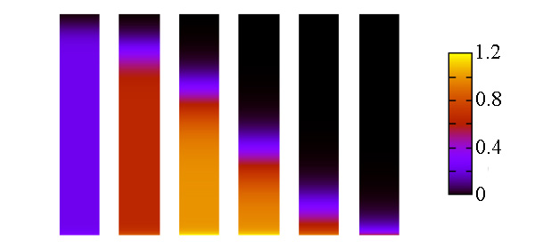 Рис. 1. Резкое выпадение в осадок «живой конденсированной среды» при понижении уровня активности ниже критического значения. Отдельные столбики показывают разные моменты времени, концентрация частиц закодирована цветом. Нижние 5% от всей глубины водоема не показаны для удобства цветового кодирования. Рис. из обсуждаемой статьи в Physical Review Letters