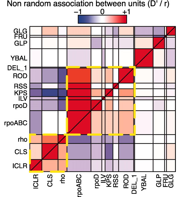 Рис. 2. Зависимость вероятности закрепления мутаций в различных генных комплексах от того, закрепились ли мутации в других комплексах