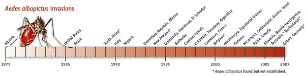 Годы вселения комара Aedes albopictus в разные страны мира за последние 29 лет. Звездочкой отмечены страны, где этот вид комара был отмечен, но пока не обитает постоянно, то есть где пока нет популяций этого вида. Иллюстрация из обсуждаемой статьи в Science