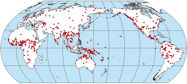 Географическое распределение 504 языков, данные по которым использовались в исследовании. Рисунок из обсуждаемой статьи в Science