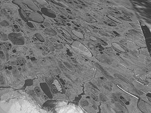 На этом снимке хорошо видно, что все озера, попавшие в объектив камеры, смотрят в одном направлении (фото с сайта www.physorg.com)