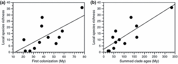 Рис. 2. Зависимость локального видового разнообразия (числа видов) квакш от времени (в миллионах лет) первого заселения ими данного региона. Из обсуждаемой статьи Wiens et al. в Ecology Letters