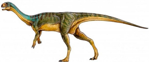 Рис. 3. Так мог выглядеть чилизавр