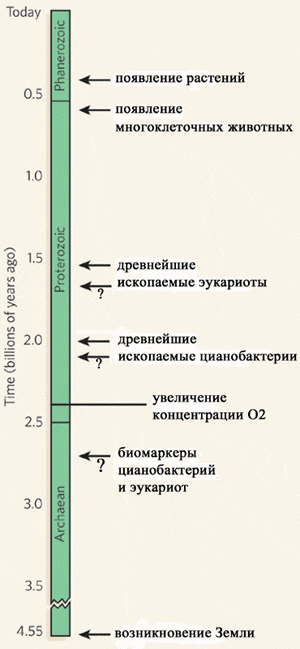 Датировки древнейших биотических событий. Вопросительными знаками помечены спорные находки и интерпретации. Схема из статьи в Nature с небольшими корректировками по статье Сергеев и др., 2007