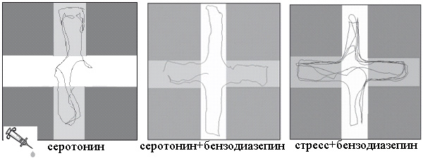 Маршрут рака в крестообразном лабиринте после инъекций: серотонина (слева), серотонина и бензодиазепина (в центре), бензодиазепина после стрессового стимула