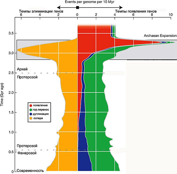 Рис. 1. Динамика темпов обновления семейств генов. Мы видим изменения скоростей появления, элиминации, дупликации и горизонтального переноса. Самые бурные события происходили в период 3,3–2,85 млрд лет назад (это средний архей), который на графике затонирован серым цветом. График из обсуждаемой статьи в Nature