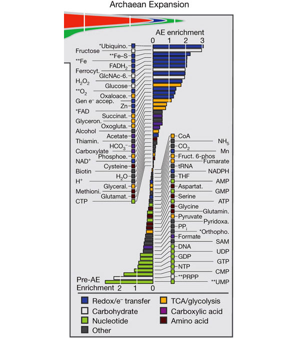 Рис. 2. Семейства генов здесь сгруппированы по своим функциям, точнее по тем субстратам, с которыми они работают. Группы показаны цветом. Высота каждого столбика гистограмм показывает отношение семейств генов определенной функциональной группы, появившихся во время архейской экспансии, к числу семейств этой группы, появившихся до экспансии. Шкала логарифмическая (log2). То есть это своего рода анатомия Архейской экспансии. График из обсуждаемой статьи в Nature</p>\nАнатомия Архейской экспансии. График из обсуждаемой статьи в Nature