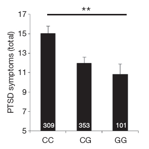 Развитие посттравматического синдрома у женщин в зависимости от генотипа. Высота столбиков отражает среднюю степень выраженности симптомов ПТСР. По горизонтальной оси — генотип. Рисунок из обсуждаемой статьи в Nature