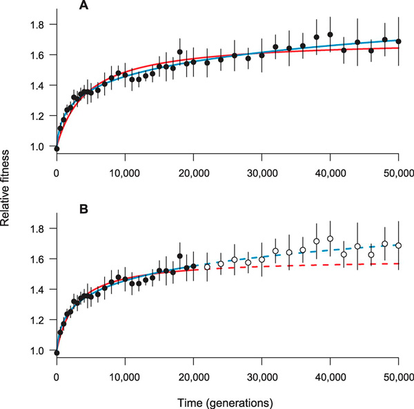 Рост приспособленности бактерий в течение 50 000 поколений