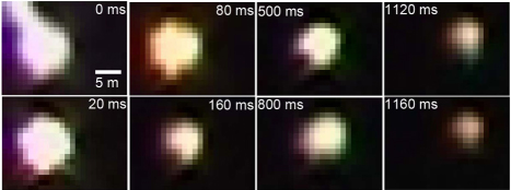 Рис. 3. Некоторые кадры с изображением шаровой молнии, полученные в разные моменты процесса