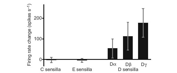 Усредненный ответ (число импульсов в секунду) ольфакторных рецепторов постельного клопа на суммарный запах человека