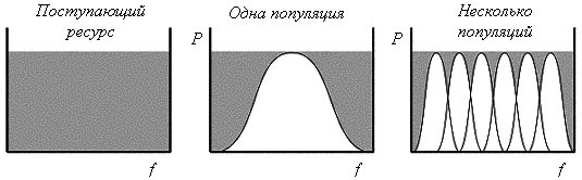 Эффективность использования ресурса одной популяцией и несколькими. P — частота фенотипов в популяции; f — параметр ресурса. Серым цветом обозначен поступающий в среду ресурс, белым — «выращенная» на градиенте ресурса f численность (биомасса). Отношение серого и белого показывает эффективность использования ресурса (рис. с сайта biosystems.narod.ru)