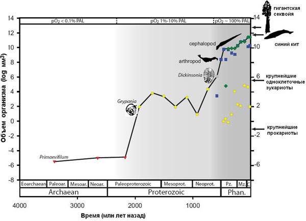 Рост максимального размера живых организмов. По горизонтальной оси — время в млн лет назад. По вертикальной оси — объем организма в куб. мм (логарифмическая шкала). Вверху показана концентрация кислорода в % от нынешней. Красные значки — прокариоты, желтые — низшие эукариоты (простейшие и водоросли), синие — животные, зеленые — растения, серый значок — Dickinsonia, организм, природа которого спорна (хотя большинство экспертов относят его к животным). Отражены данные только по ископаемым организмам. Рис. из обсуждаемой статьи в PNAS