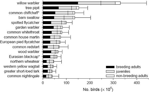 Число птиц разных видов, летящих на зимовку из Европы в Африку. Показаны в порядке убывания численности первые 16 наиболее массовых видов. Число птиц приведено по оси X (в миллионах особей). Темным выделены размножавшиеся взрослые птицы, более светлым — молодые птицы, появившиеся на свет в том же году, белым — не размножавшиеся взрослые. Показаны также доверительные интервалы для общей численности каждого вида. Первое место (верхний ряд) занимает пеночка-весничка (willow warbler). Затем по убыванию численности идут: лесной конёк, пеночка-теньковка, деревенская ласточка, серая мухоловка, садовая славка, серая славка, городская ласточка, мухоловка-пеструшка, горихвостка-лысушка, пеночка-трещотка, славка-черноголовка, обыкновенная каменка, желтая трясогузка, короткопалый жаворонок. Замыкает список шестнадцати лидеров соловей. Рис. из обсуждаемой статьи в Oikos