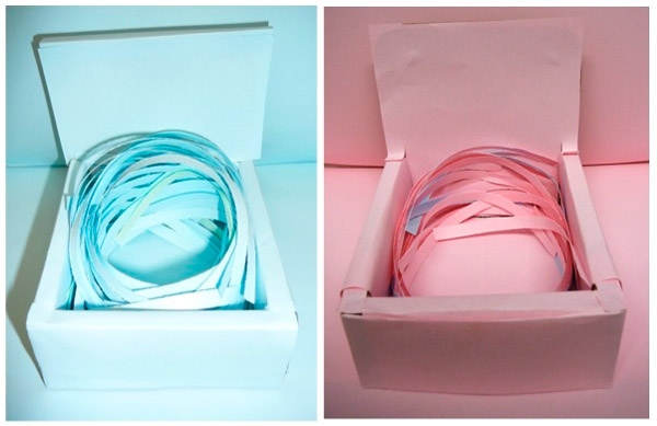 Рис. 3. Искусственные гнездовые «чашечки»