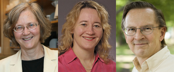 Лауреаты Нобелевской премии по физиологии и медицине за 2009 год (слева направо): Элизабет Блэкберн, Кэрол Грейдер и Джек Шостак. Фото с сайтов nihrecord.od.nih.gov, www.chronicle.pitt.edu, www.knaw.n