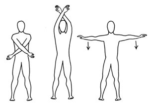 Мозг вынужден постоянно комбинировать информацию от разных органов чувств, чтобы создать непротиворечивую карту тела своего хозяина (изображение с сайта www.utoronto.ca)