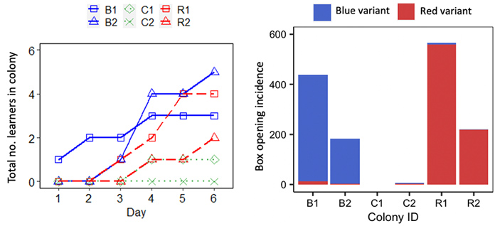 Рис. 2. Результаты первого эксперимента