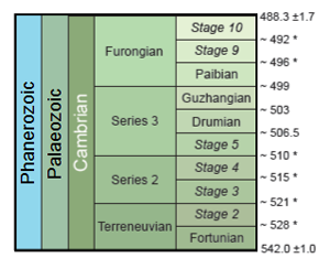 Стратиграфическая схема кембрийского периода